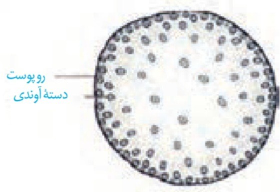 دریافت سوال 38