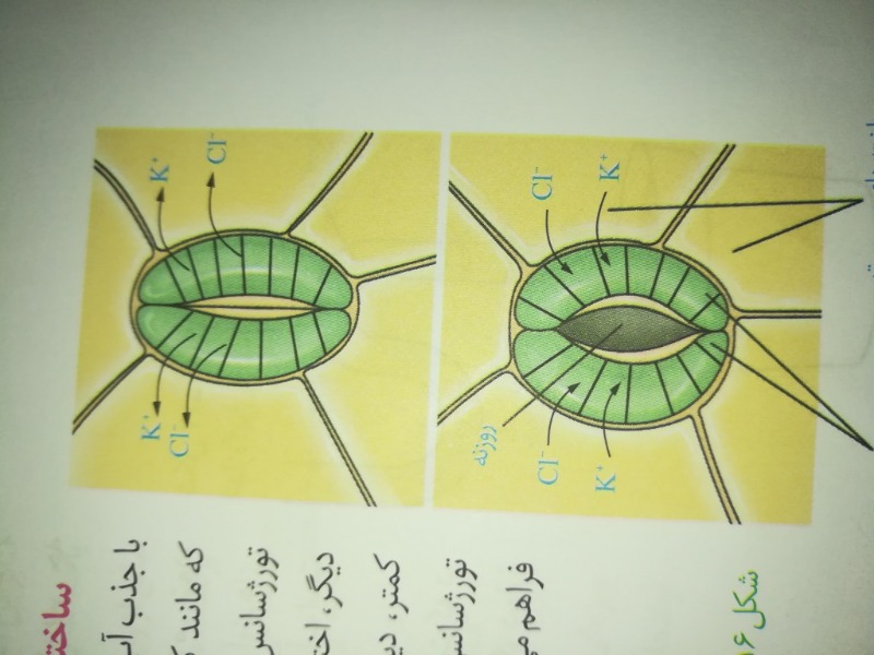 دریافت سوال 3