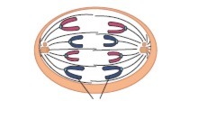 دریافت سوال 15