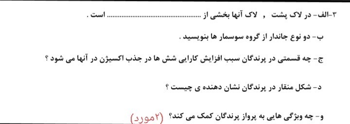 دریافت سوال 13