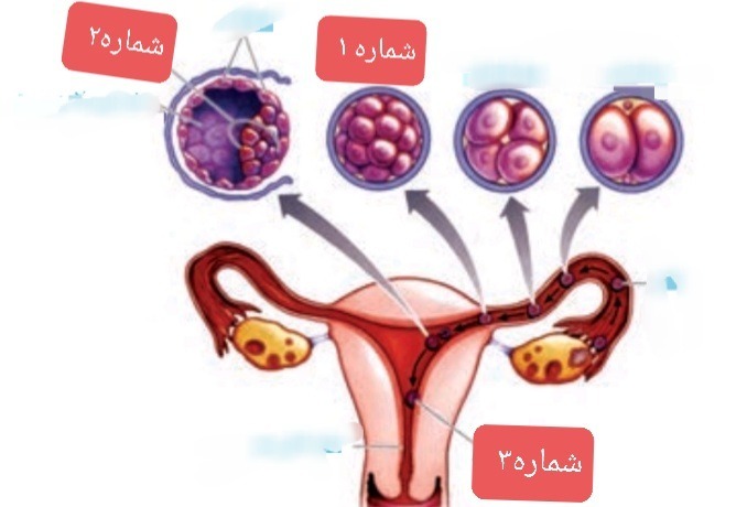 دریافت سوال 14