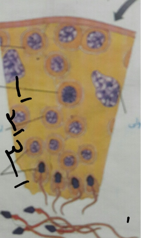 دریافت سوال 11