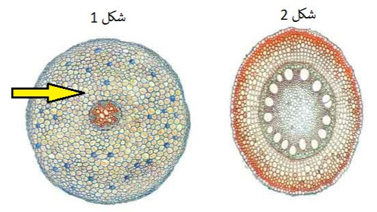 دریافت سوال 26