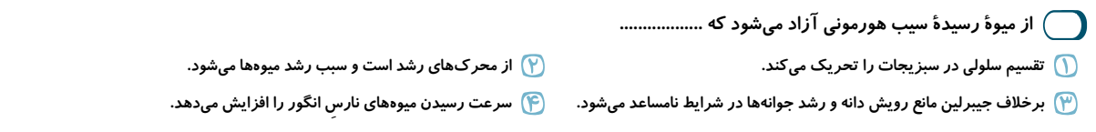 دریافت سوال 13