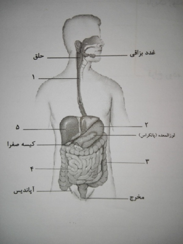 دریافت سوال 3