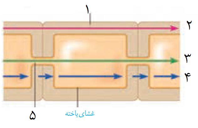 دریافت سوال 10