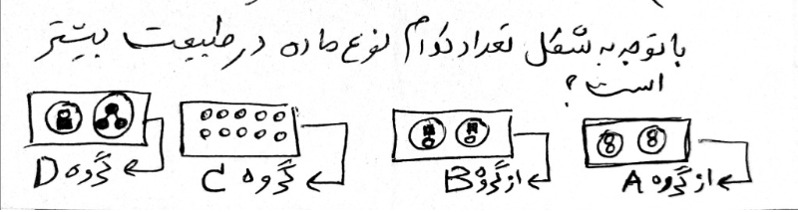 دریافت سوال 7