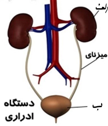 دریافت سوال 12