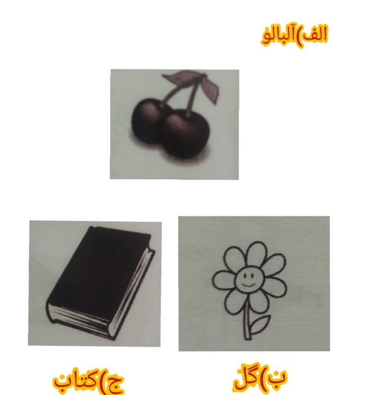 دریافت سوال 1