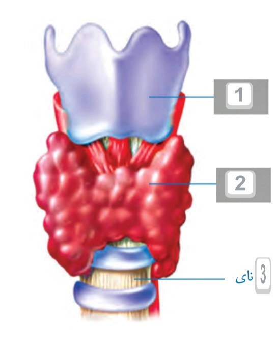 دریافت سوال 8