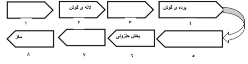 دریافت سوال 19