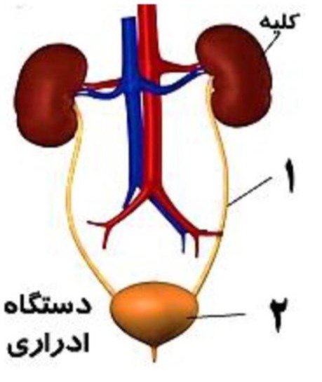 دریافت سوال 30