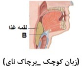 دریافت سوال 22