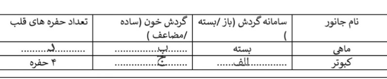 دریافت سوال 7