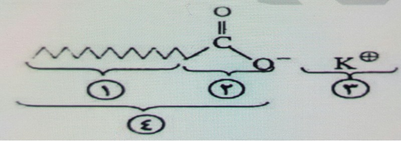 دریافت سوال 6