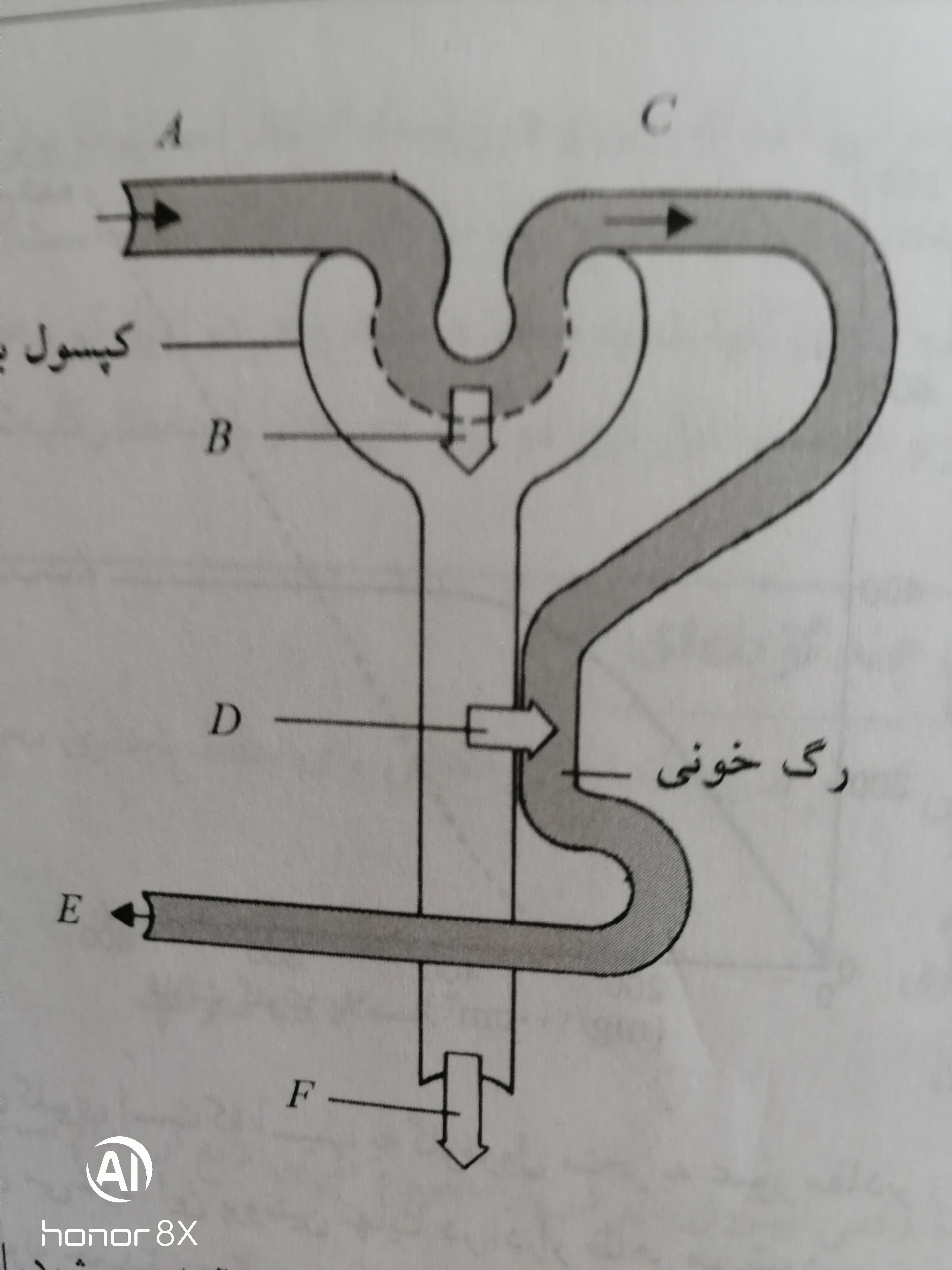 دریافت سوال 7