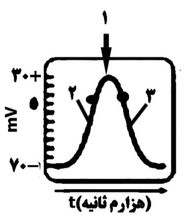 دریافت سوال 3