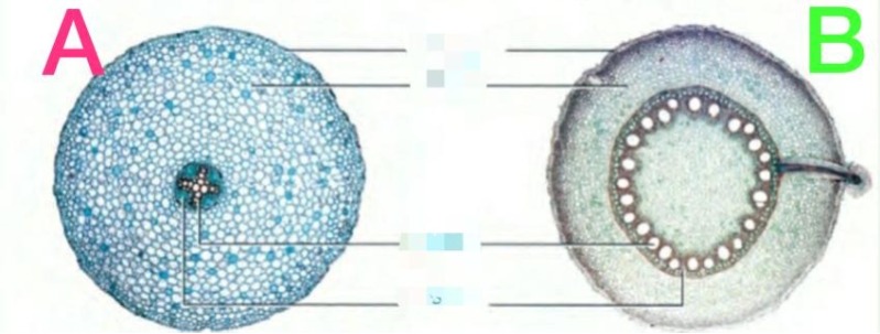 دریافت سوال 16