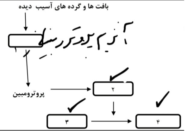 دریافت سوال 15