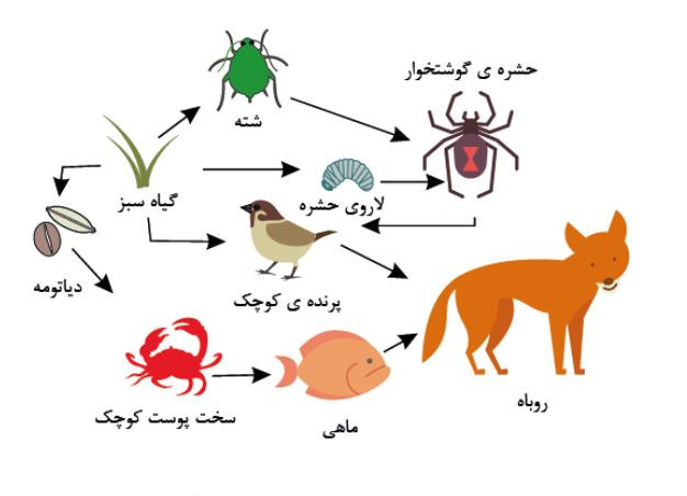 دریافت سوال 21