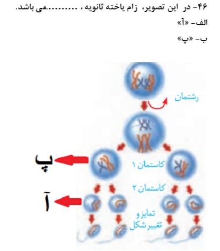 دریافت سوال 15