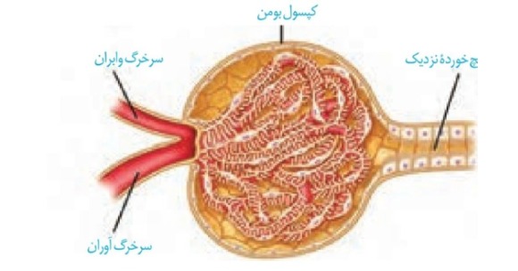 دریافت سوال 23