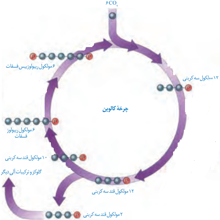 دریافت سوال 16