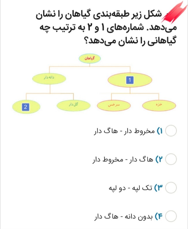 دریافت سوال 20