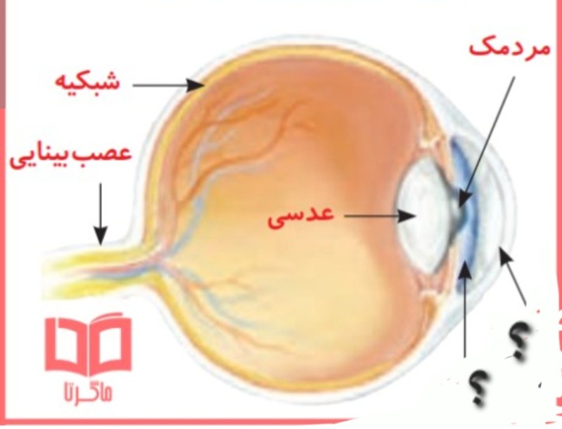 دریافت چند انتخابی