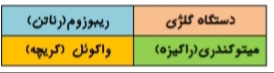 دریافت سوال 24