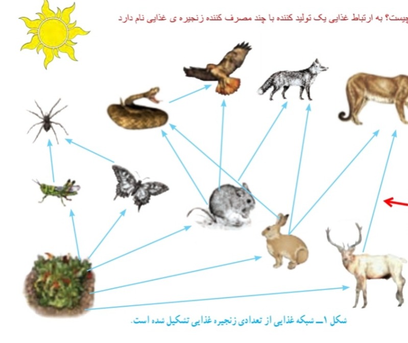 دریافت سوال 26