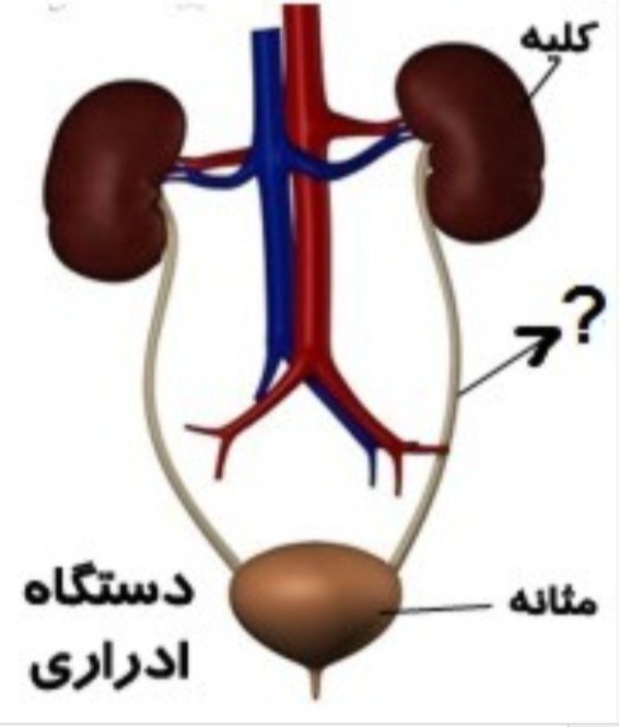 دریافت سوال 28