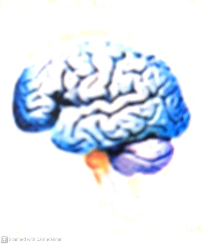 دریافت سوال 16