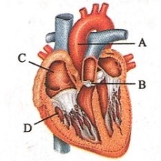 دریافت سوال 3