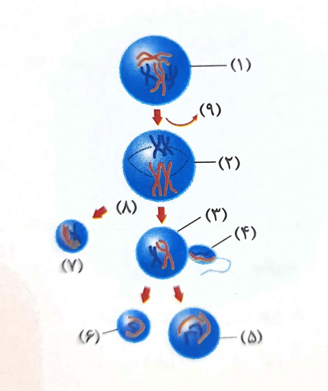 دریافت سوال 7