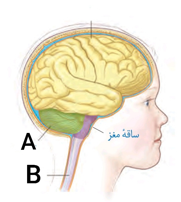 دریافت سوال 16