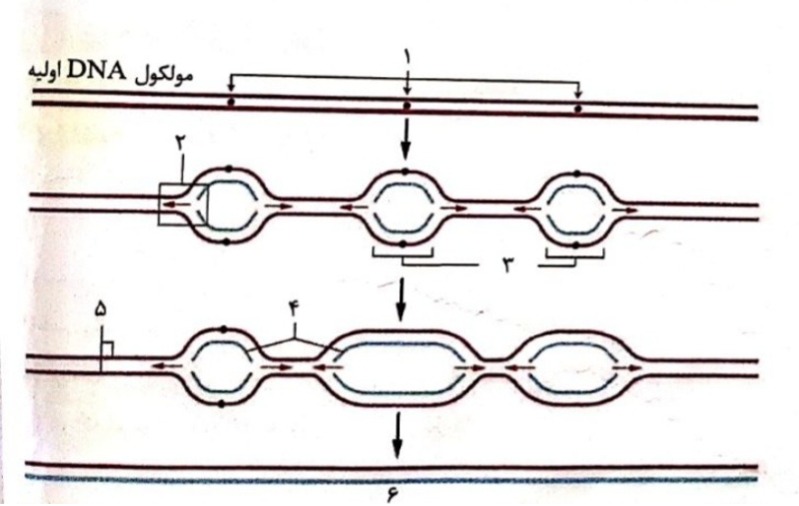 دریافت سوال 9