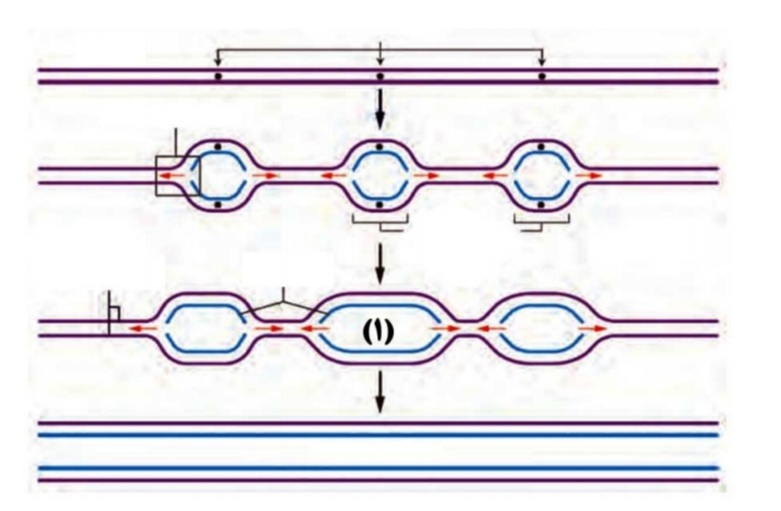 دریافت سوال 2