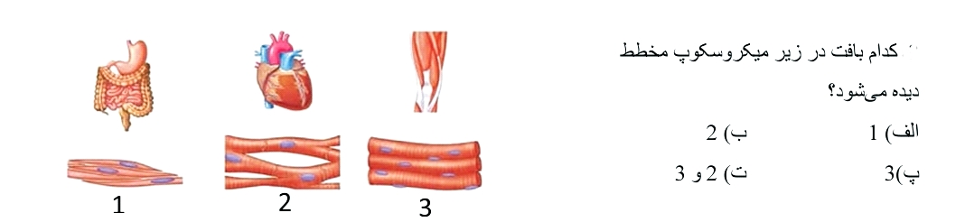 دریافت سوال 15