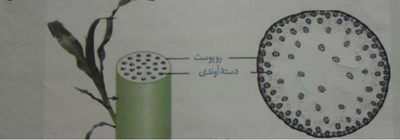 دریافت سوال 25