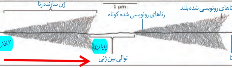 دریافت سوال 14