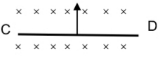 دریافت سوال 13