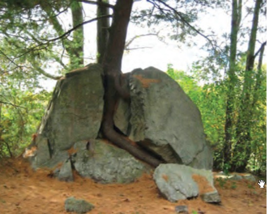 دریافت سوال 33