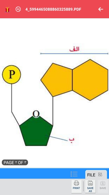 دریافت سوال 3