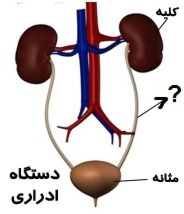 دریافت سوال 5