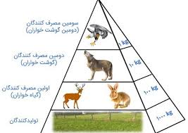 دریافت سوال 23