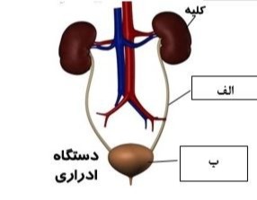 دریافت سوال 12