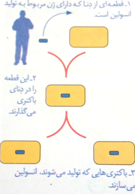 دریافت سوال 12