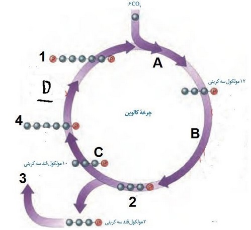 دریافت سوال 9