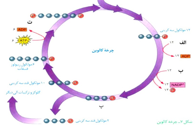 دریافت سوال 15